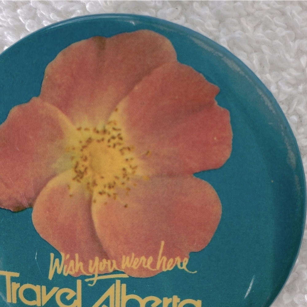 5/$35 Vintage Blue W Pink Wild Rose Travel Alberta Canada Souvenir Pin Button - Picture 4 of 8